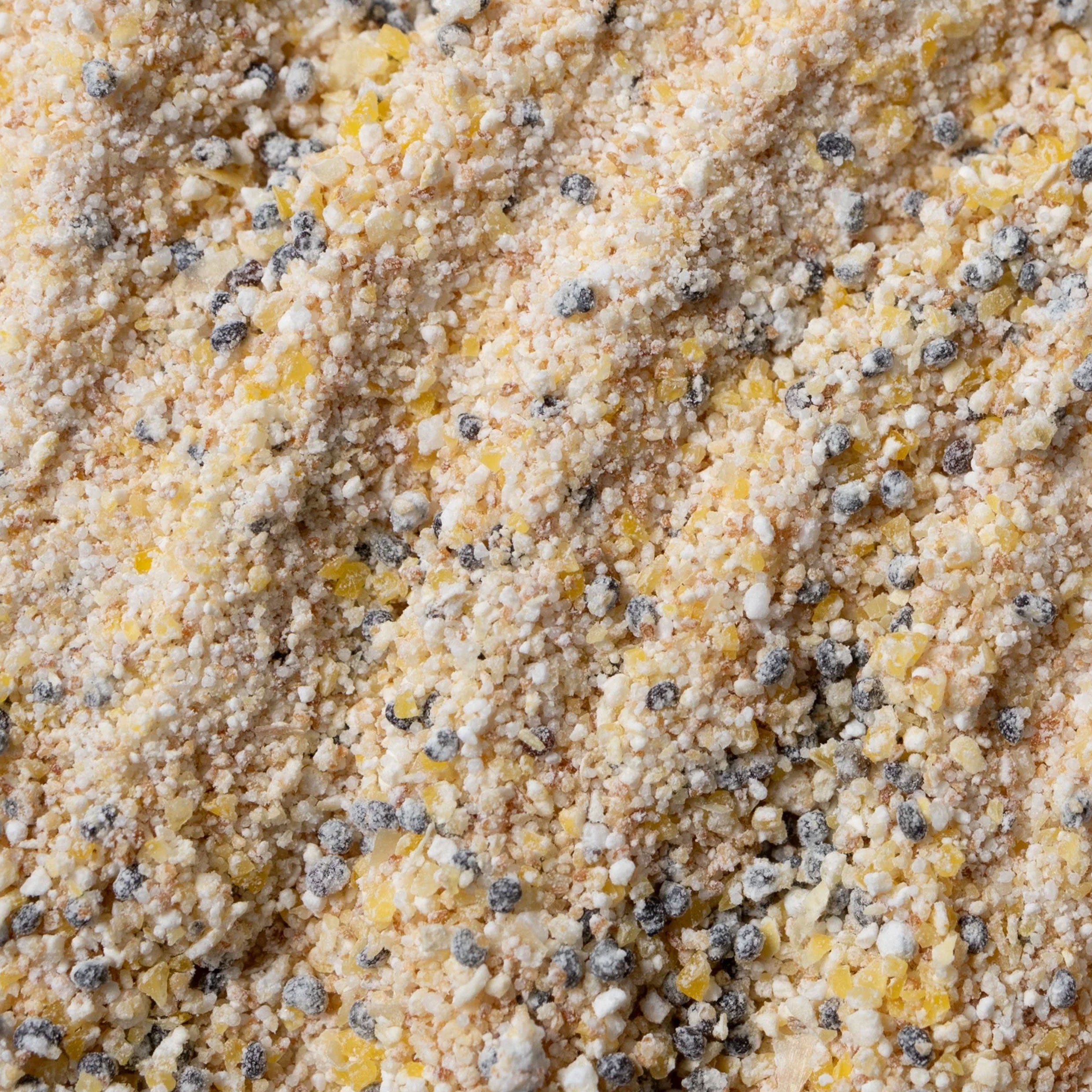 Close-up of a textured surface with small black specks