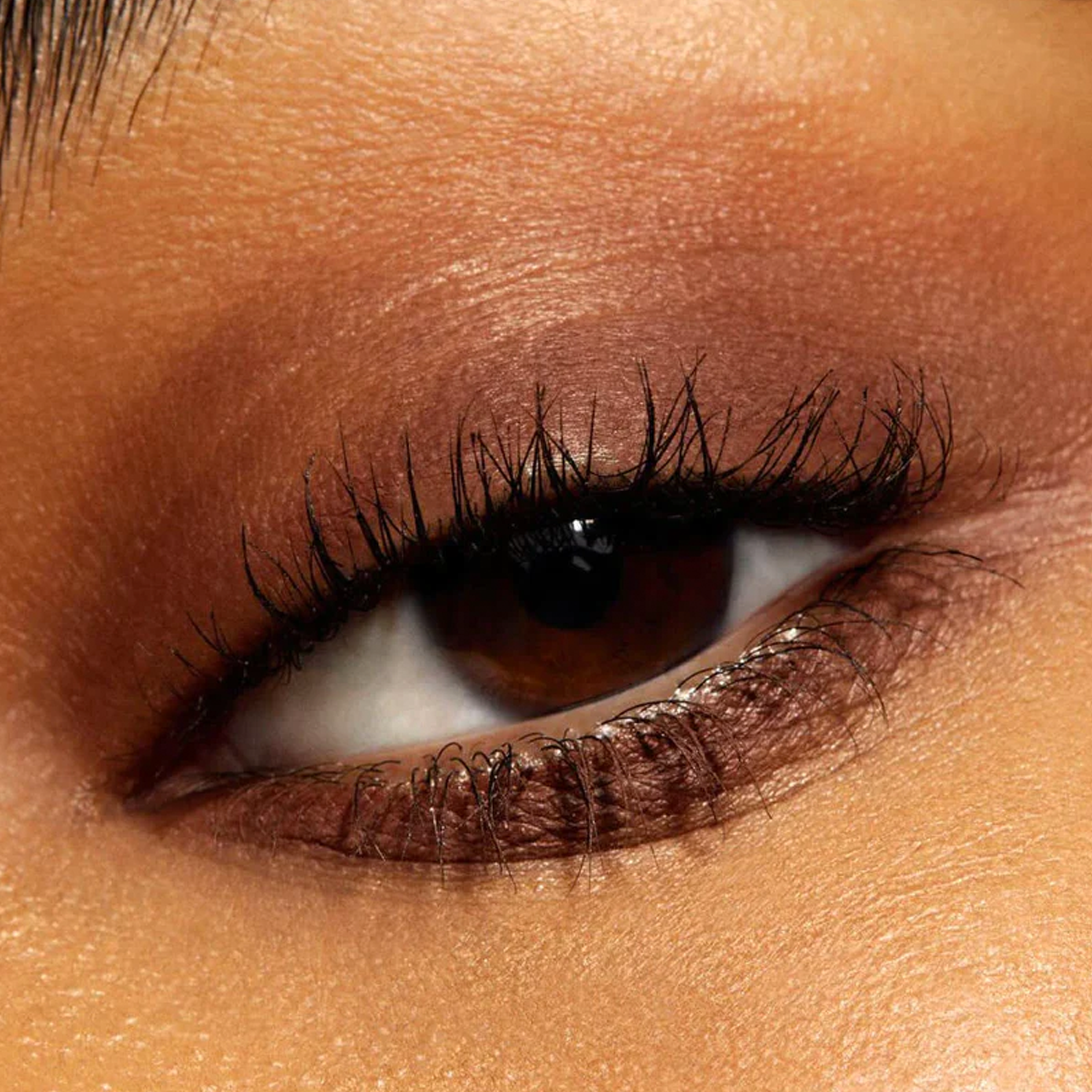 Close up of Eyelid wearing brown eyeshadow